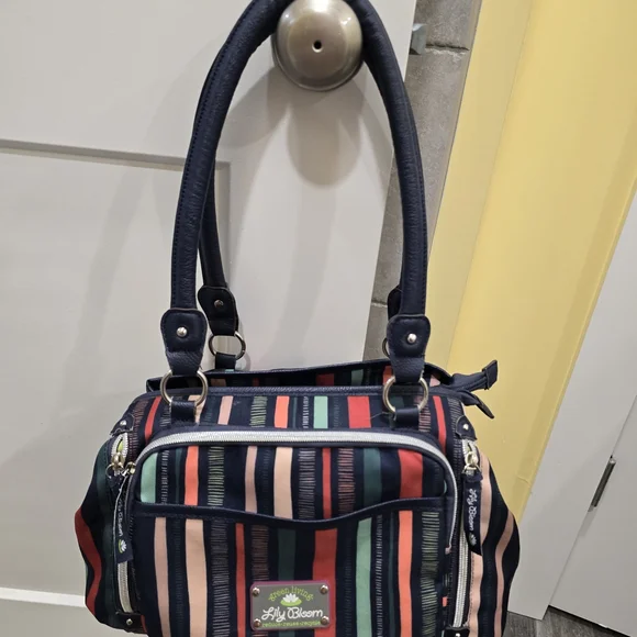 Lily Bloom Multicolor Striped Women's Bag With Multiple Pockets - Picture 2 of 14
